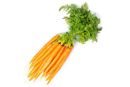 Carrot from Netherlands supplied by Nautilus Organic - Orange Fresh Carrot