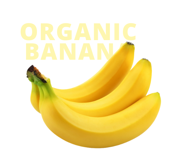Banana from Ecuador supplied by TROPICAL REPUBLIC S.A. - Yellow - Ripe Fresh Banana