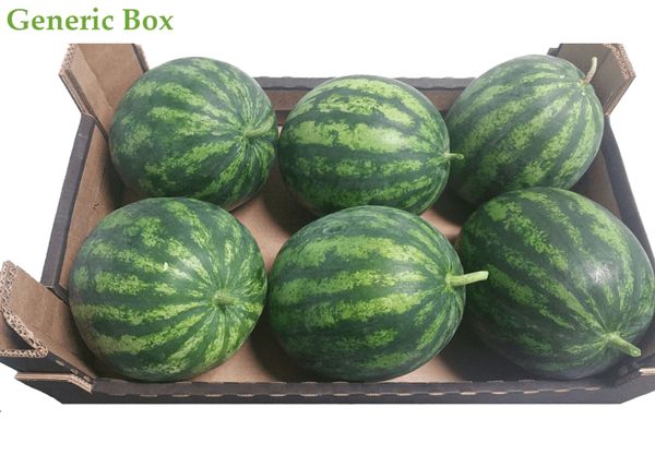 Watermelon from Germany supplied by BIOFRUIT TRADING - Valencia Melon (=Green Valencia=Valencia Winter Melon) Fresh Watermelon