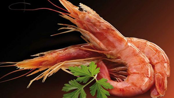 Argentinian Red Prawns from 남아프리카공화국 supplied by Blue Wave Fish Traders - Argentina 냉동 새우