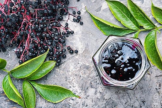 Elderberry Jelly from United States supplied by Country Kettle Jams, LLC - Small Jelly