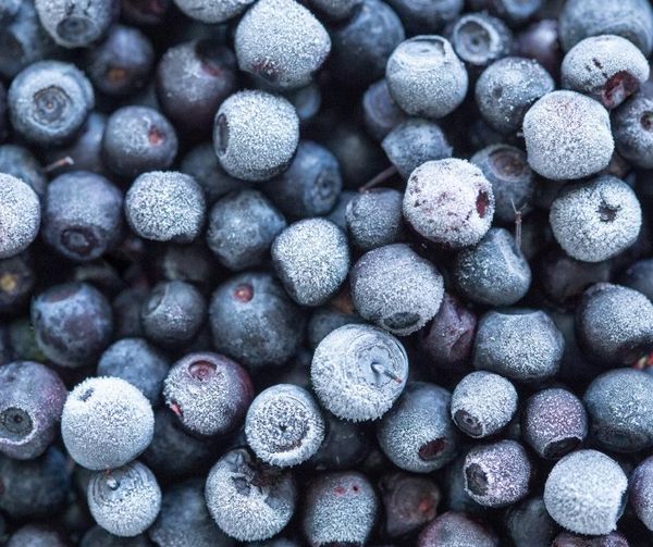 Frozen Blueberries from 미국 supplied by PARIS FOODS - IQF (=Individual Quick Freezing) 냉동 블루베리