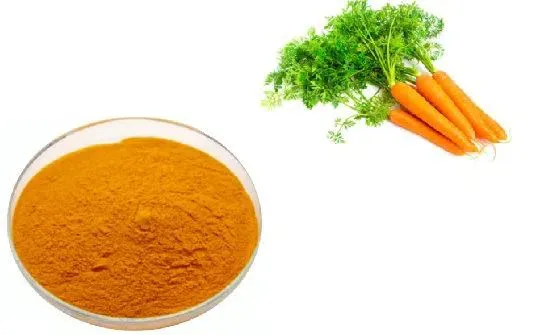 Carrot Powder from China supplied by BETON - Powder Fresh Carrot