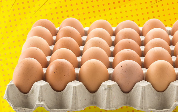 Chicken Egg from South Africa supplied by Rossgro - Raw Chicken Egg