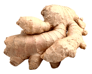 ginger from 페루 supplied by La Campiña Peru S.A.C. - Whole 통생강