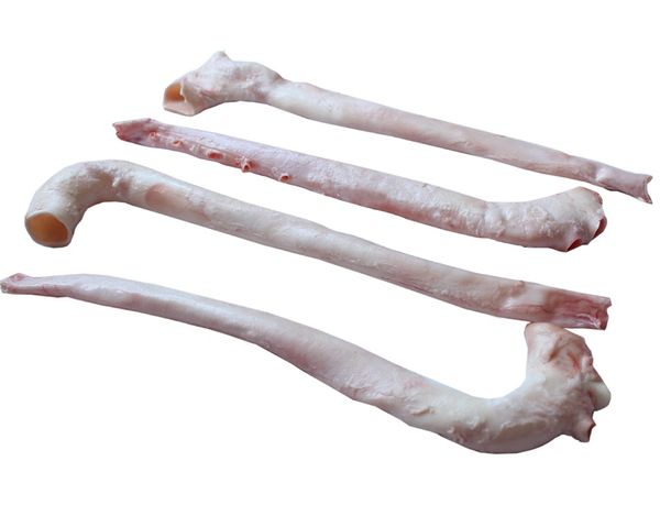 Frozen pork aorta, Pig aorta, pork heart tube from 우크라이나 supplied by Euro-Commerce LTD - Others 신선 돼지고기 햄 및 목살