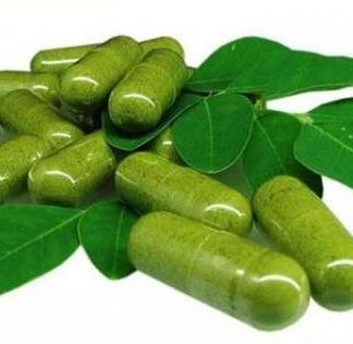 Moringa Capsules from 남아프리카공화국 supplied by Feel Healthy - 캡슐 모링가