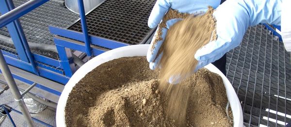 Meat and Bone Meal (MBM) from 멕시코 supplied by proteinas completas - Meal 육골분