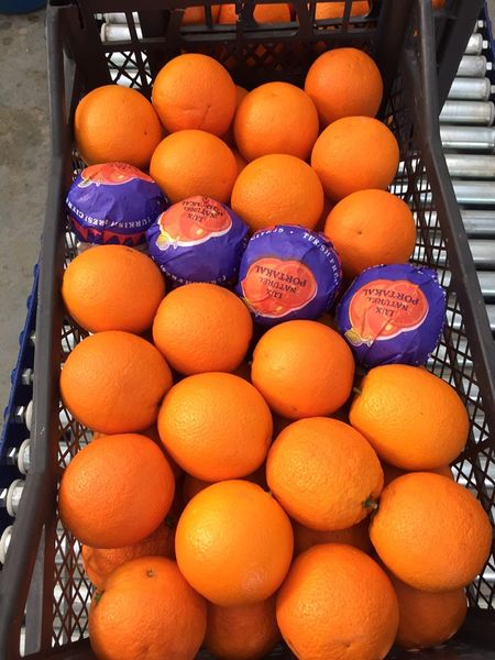 portakal from 튀르키예 supplied by Ahmet Tekkanat - Meyer Lemon