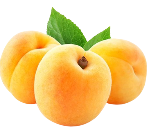 Fresh Whole Pavia from Spain supplied by AGROPECUARIA DE SOSES SOCIEDAD COOP. - Pavia Fresh Peach