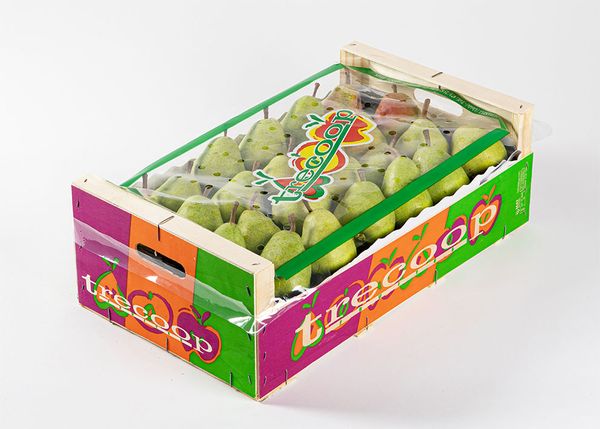 Fresh Whole Pear from Spain supplied by TRECOOP FRUITES S.C.C.L. - Deboe Fresh Pear