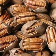 Pecan Nut from 남아프리카공화국 supplied by Vaalharts Pecans - 갈색 피칸