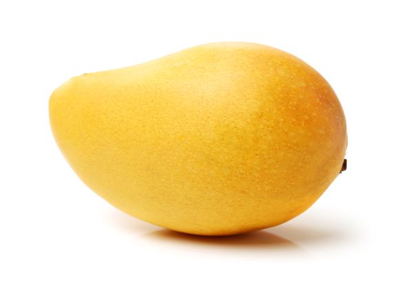MANGO from Egypt supplied by First choice - Fresh Mango