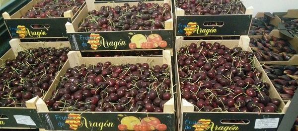 Grapes from Portugal supplied by ANTÓNIO RODRIGUES TERESO & FILHOS, LDA - Whole Fresh Grape