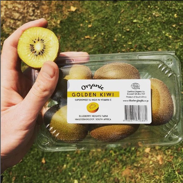 Organic Kiwifruit from 남아프리카공화국 supplied by Blueberry Heights Farm - Green Kiwi (=Zespri Green) 신선 키위