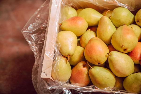 Pears from Greece supplied by KARASTERGIOS, P., BROS SA - Whole Fresh Pear