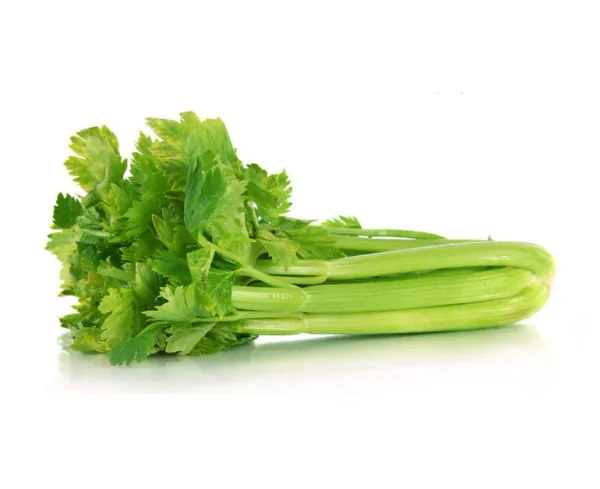 celery from United States supplied by Direct Fresh Marketing Inc - Fresh (=Chilled) Fresh Celery