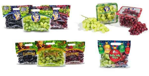 Fresh Grape from 미국 supplied by SUNLIGHT INTERNATIONAL SALES - Summer Royal 신선 포도