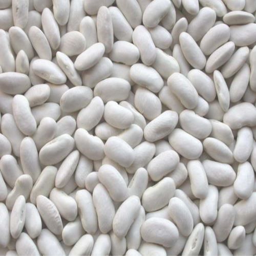 White Kidney Beans from Egypt supplied by Al Kassoumeh Export - As per customer's request White Beans