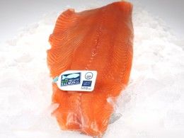 Salmon from Germany supplied by F.L. BODES - Fillet Salmon