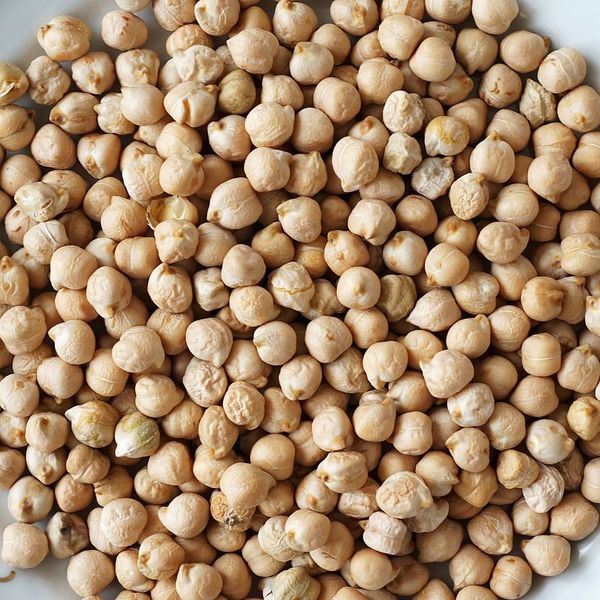 Chickpeas from South Africa supplied by Cherene Organics - Dried Chickpea