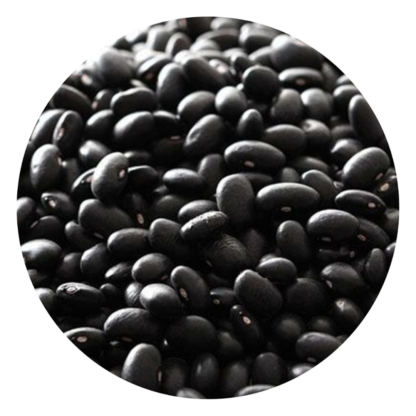 Black Beans from 남아프리카공화국 supplied by Shop Zero - Dried (=Dehydrated) 블랙빈