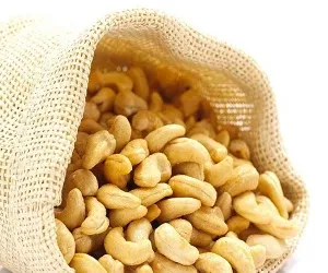 Perfect Dried Cashew Nut For Sale from South Africa supplied by SKE HOLDINGS INTERNATIONAL - WW320 (=White Wholes 320) Cashew Nut Kernel