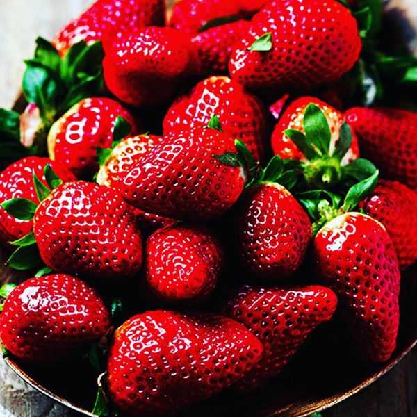 Strawberry from 파키스탄 supplied by Fruiti Fresh Pvt Ltd. - Red 신선 딸기