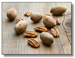 Dried Pecan Nuts from United States supplied by Derco Foods - In-shell Pecan Nut