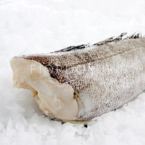 Chilean Seabass from Chile supplied by FRIGORIFICO FIORDOSUR S.A. - Frozen Frozen Chilean Seabass
