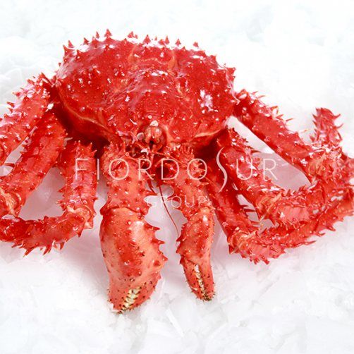 King Crab from Chile supplied by FRIGORIFICO FIORDOSUR S.A. - King Crab - Red King crab (=Paralithodes camtschaticus=Alaskan King crab=Kamchatka Crab) Frozen Crab