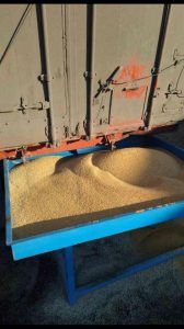 Yellow millet from Ukraine supplied by Ukrainian grain trading company LLC - For Food Millet
