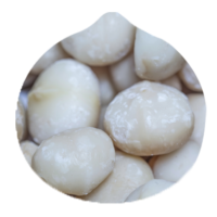 Macadamia Nuts from Kenya supplied by Afrimac Nut Company Ltd - Conventional Macadamia Kernel