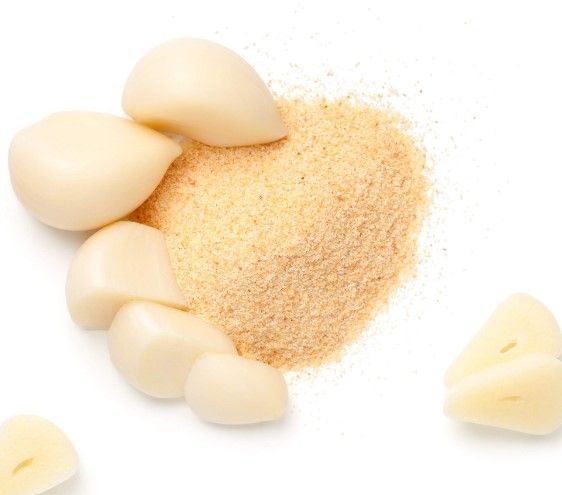 Garlic powder from Germany supplied by Schulze & Co. KG - White Fresh Garlic