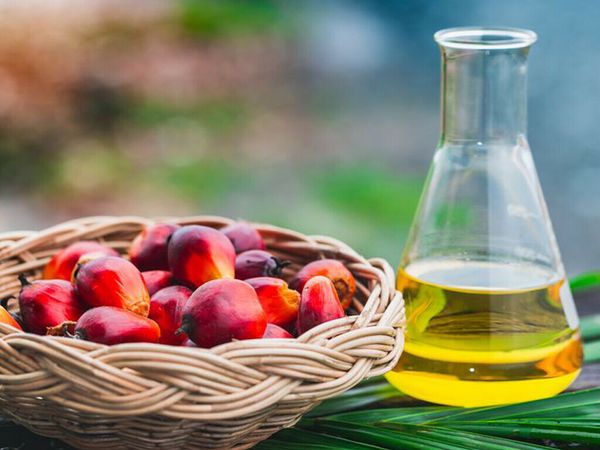 Palm Oil from United States supplied by The Seydel Companies - RBD (=Refined, Bleached, and Deodorized) RBD Palm Oil