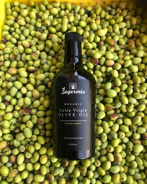 Olive Oil from Tunisia supplied by Domaine de Segermès - Chemlali Olive Oil