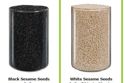 Sesame Seed from 인도 supplied by Robust Trade Links Dmcc - Unhulled 참깨