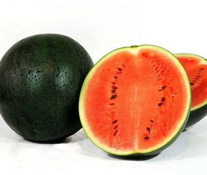 Watermelon from 스페인 supplied by Hortiquality SL - Plastic Box 신선 수박