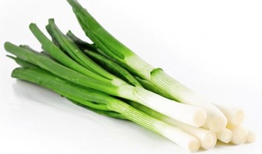 Fresh Scallion from 이집트 supplied by Arena Holding - Whole 신선 봄양파