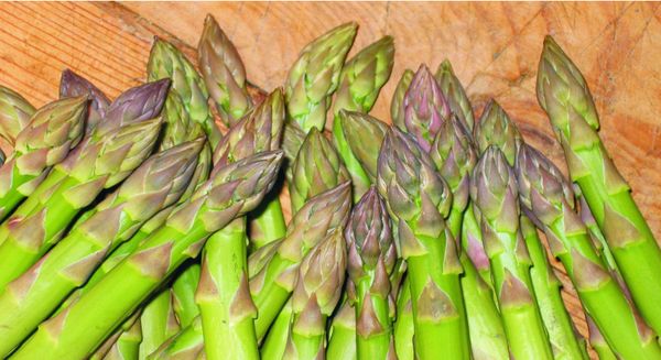 Green Asparagus from 이탈리아 supplied by C.O.P.A - Conventional 신선 아스파라거스