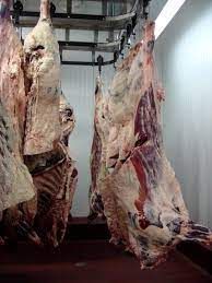 Beef from 폴란드 supplied by Carmi Food K. Czerniej Sp. j. - Red 신선 미절단 소고기