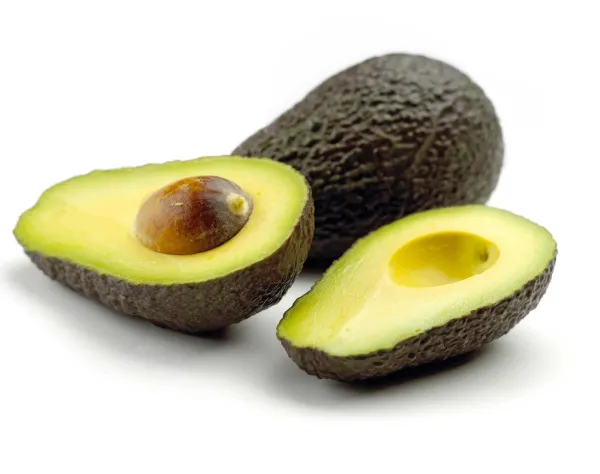 Fresh Hass Avocado from 스페인 supplied by Frutas Los Cursos - Hass 신선 아보카도