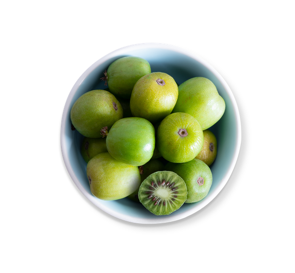 Kiwi Berry from Germany supplied by Diplanya - Fresh (=Chilled) Fresh Kiwifruit