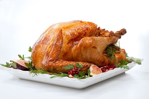Pre-Cooked Turkey Meat from 독일 supplied by Butcher Fischer, Inh. Frank Fischer - Pre-Cooked 칠면조고기 가공품