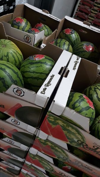 Watermelon Seedless from 스페인 supplied by Acuafruit S.L. - Red Flesh 신선 수박