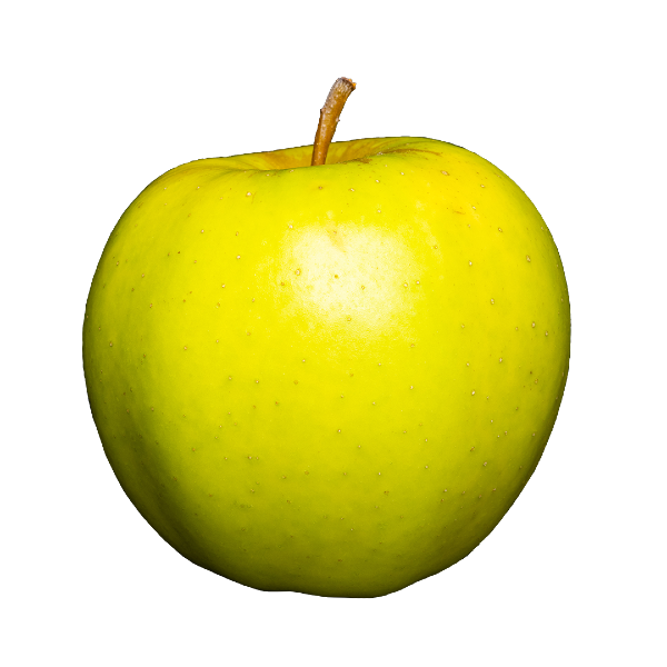 Golden Delicious Apple from Netherlands supplied by Van Kessel Fruit - Golden Delicious Fresh Apple