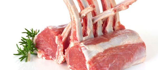 Beef from 우루과이 supplied by Oferan S.A. - 뼈 있음 신선 미절단 소고기