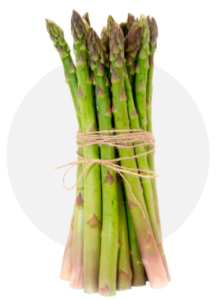 Fresh Asparagus from 스페인 supplied by Gallombares - Whole 신선 아스파라거스