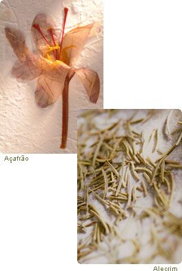 Açafrão from 브라질 supplied by Quimer Ervas e Especiarias Ltda. - Pink 혼합 향신료 상품