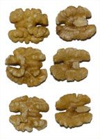 Walnuts from 미국 supplied by Guerra Nut Shelling - 하프 및 조각 80% 생호두